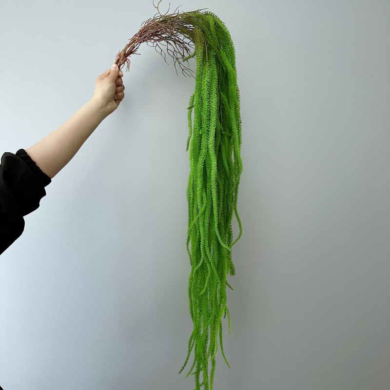 Monstera Adansonii - ประดิษฐ์ Willow Beard อเนกประสงค์ 41.73 