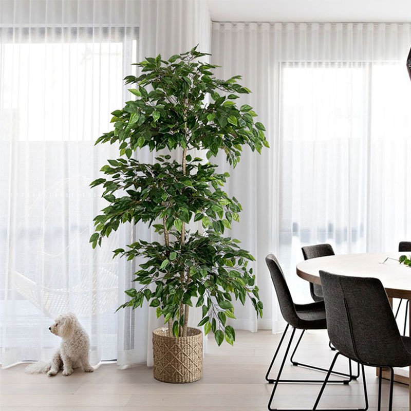 70in Ficus pohon buatan พืชเขต - Ficus Lyrata Tree บทวิจารณ์และราคา