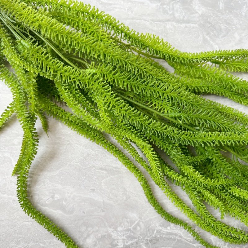 ประดิษฐ์ Willow Beard อเนกประส - Monstera Adansonii บทวิจารณ์และราคา