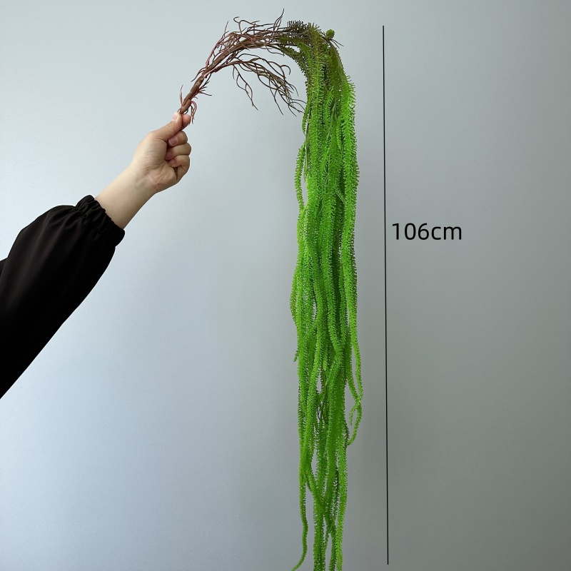 ประดิษฐ์ Willow Beard อเนกประส - Monstera Adansonii บทวิจารณ์และราคา