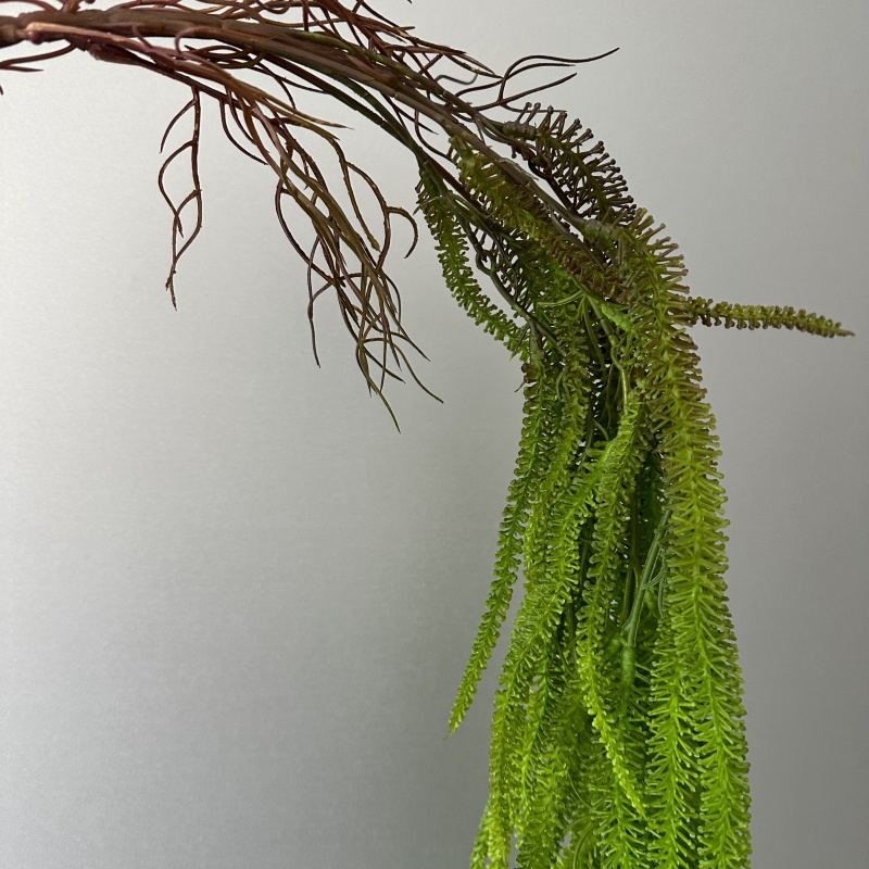 ประดิษฐ์ Willow Beard อเนกประส - Monstera Adansonii บทวิจารณ์และราคา