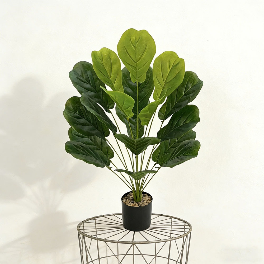 ต้นไทรประดิษฐ์ขนาด 75 ซม. 1 ต้ - Ficus Lyrata Tree บทวิจารณ์และราคา