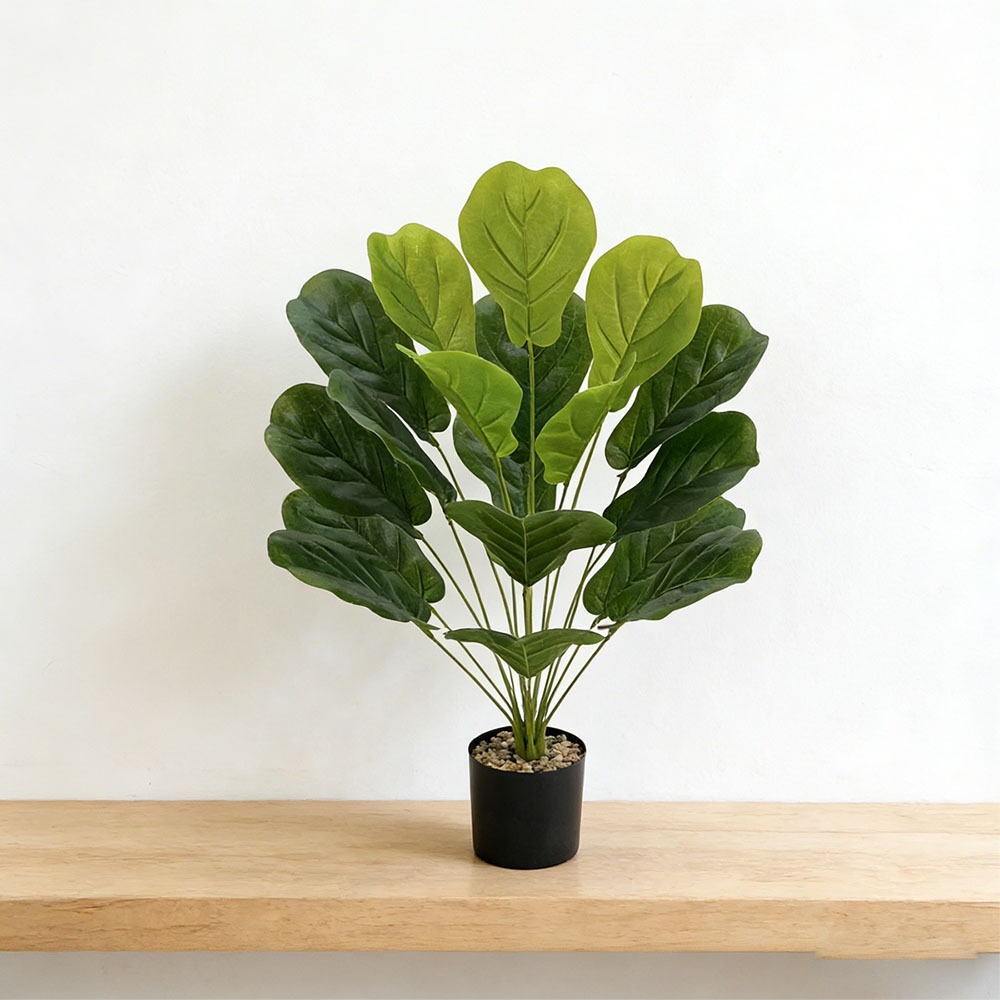 ต้นไทรประดิษฐ์ขนาด 75 ซม. 1 ต้ - Ficus Lyrata Tree บทวิจารณ์และราคา