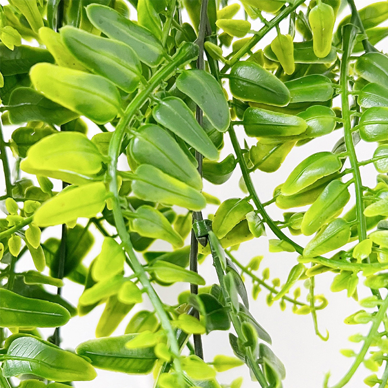 90 ซม.เปอร์เซียเฟิร์นใบ Vines  - Monstera Adansonii บทวิจารณ์และราคา