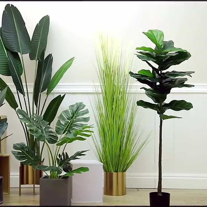 ต้นปาล์มจำลอง ต้นไม้ประดิษฐ์ ต - Ficus Lyrata Tree บทวิจารณ์และราคา