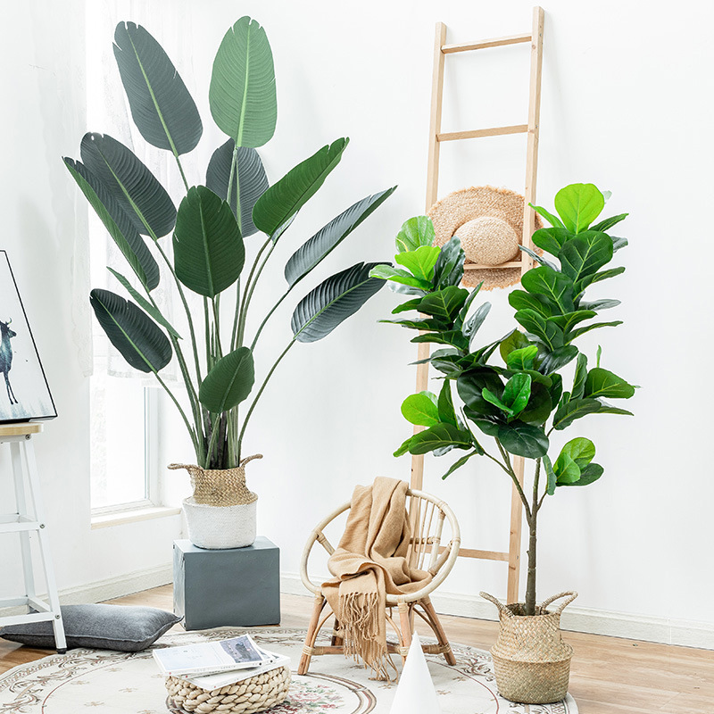 ต้นปาล์มจำลอง ต้นไม้ประดิษฐ์ ต - Ficus Lyrata Tree บทวิจารณ์และราคา
