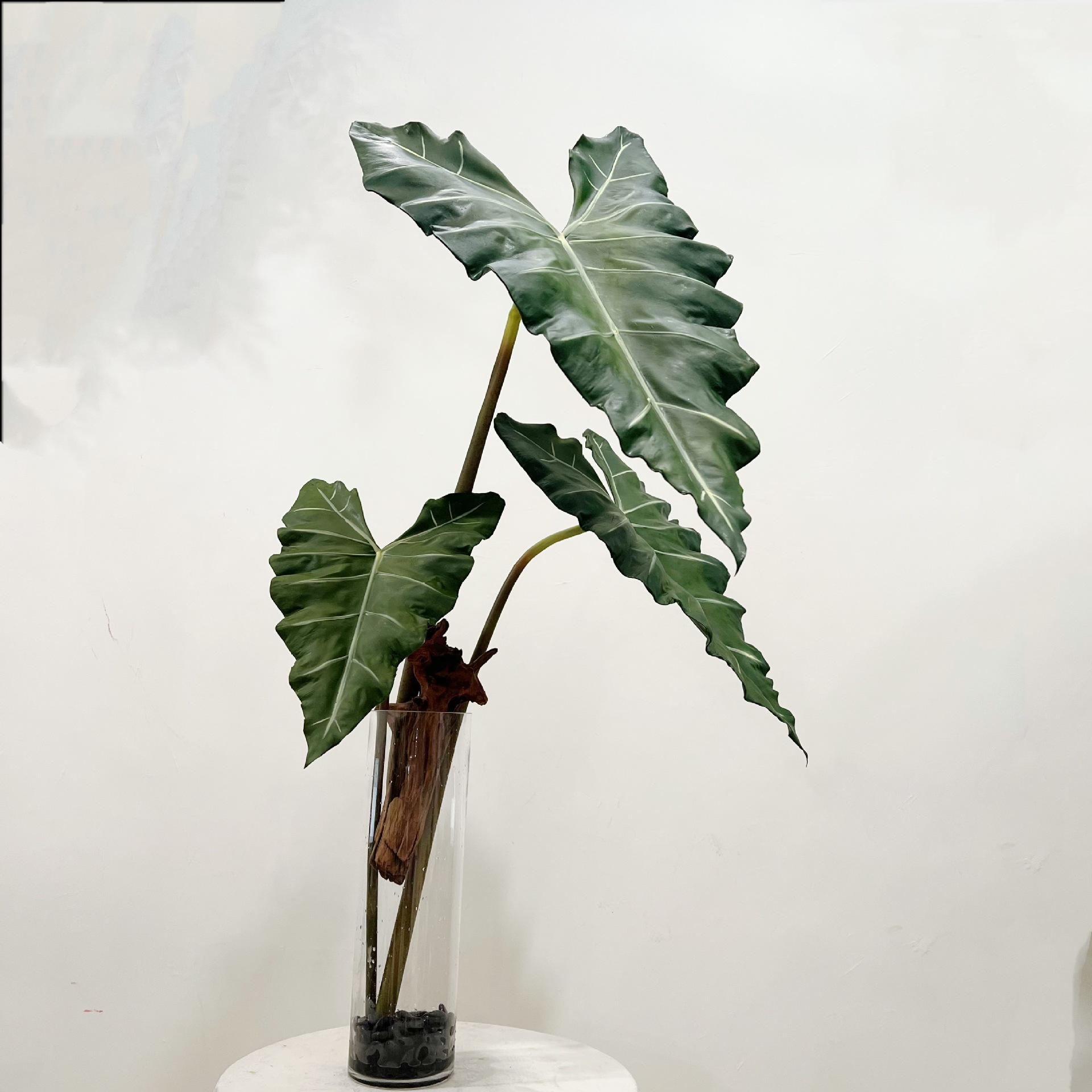 จําลองยาว PU มือรู้สึกพืชสีเขี - Monstera Adansonii บทวิจารณ์และราคา