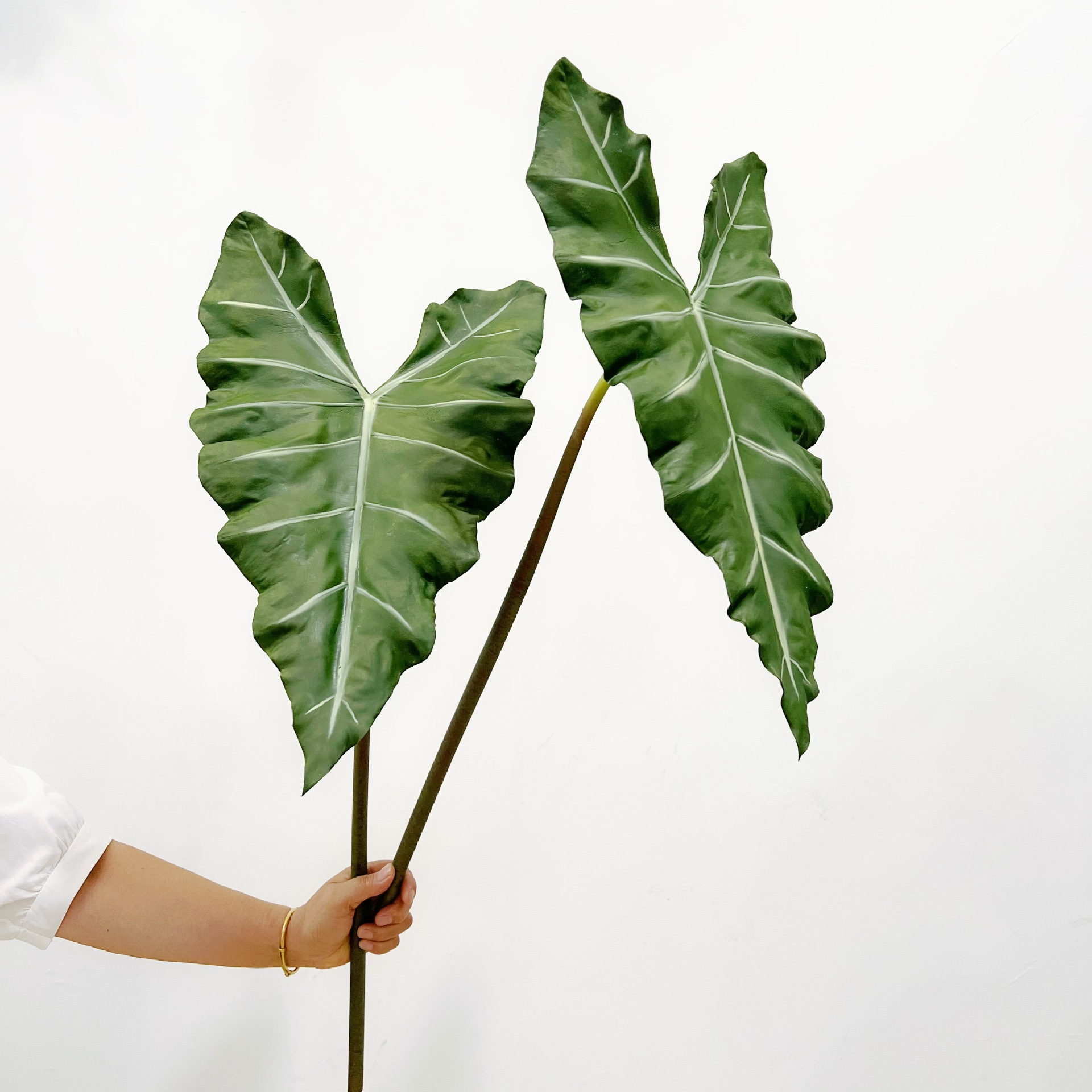 จําลองยาว PU มือรู้สึกพืชสีเขี - Monstera Adansonii บทวิจารณ์และราคา